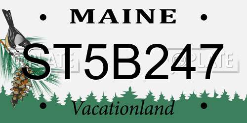 ST5B247 Maine License Plate