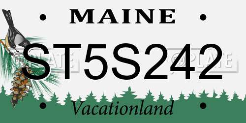 ST5S242 Maine License Plate