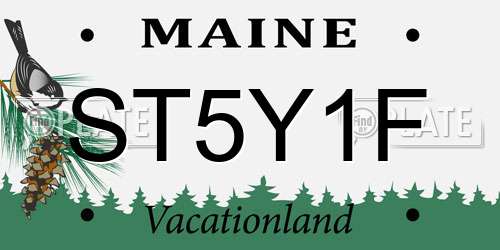 ST5Y1F Maine License Plate