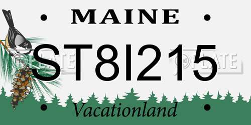 ST8I215 Maine License Plate