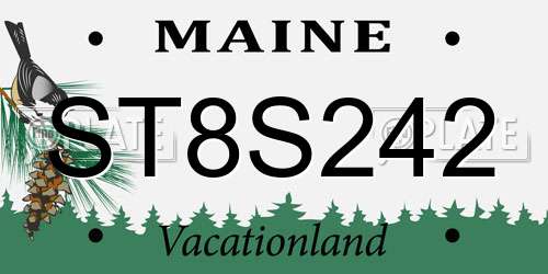 ST8S242 Maine License Plate