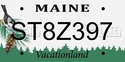 ST8Z397 Maine License Plate