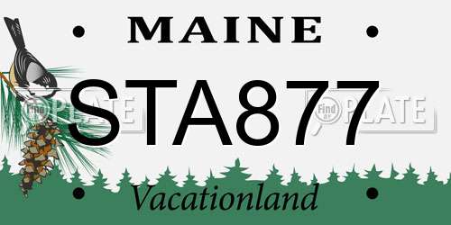 STA877 Maine License Plate