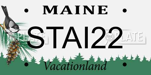 STAI22 Maine License Plate