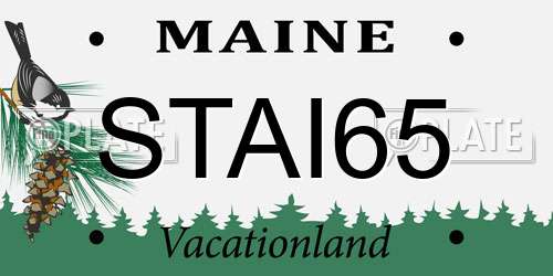 STAI65 Maine License Plate