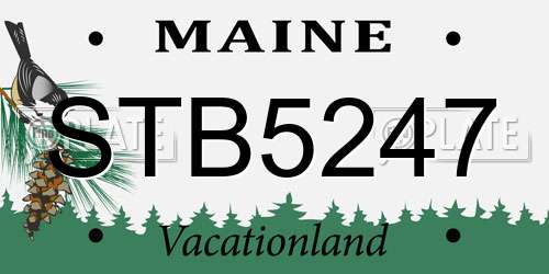 STB5247 Maine License Plate