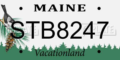 STB8247 Maine License Plate