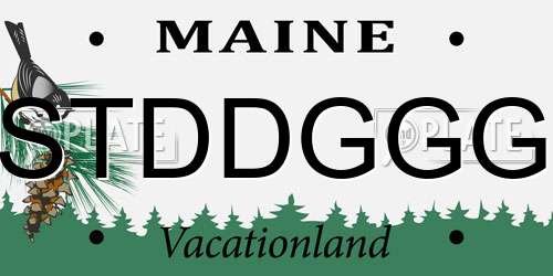 STDDGGG Maine License Plate