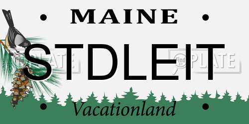 STDLEIT Maine License Plate
