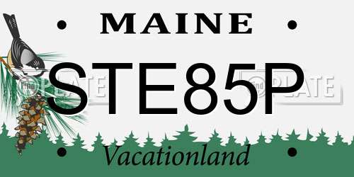 STE85P Maine License Plate