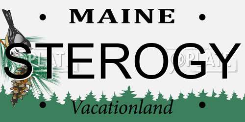 STEROGY Maine License Plate
