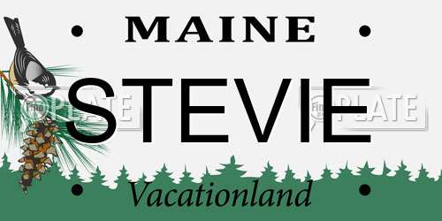 STEVIE Maine License Plate