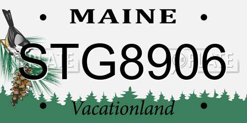 STG8906 Maine License Plate
