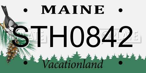 STH0842 Maine License Plate