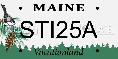 STI25A Maine License Plate