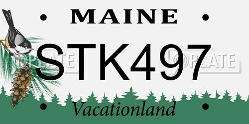 STK497 Maine License Plate