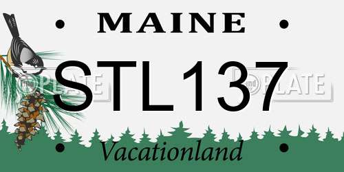 STL137 Maine License Plate