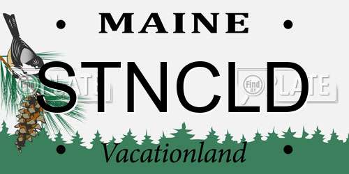 STNCLD Maine License Plate