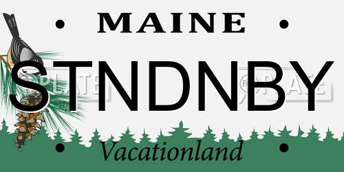 STNDNBY Maine License Plate