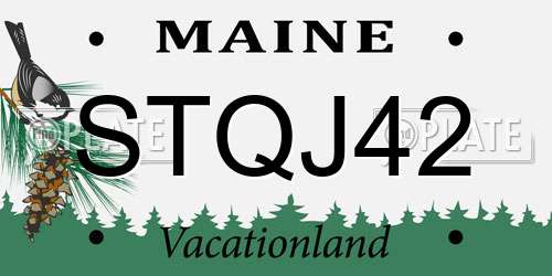 STQJ42 Maine License Plate