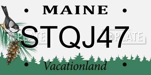 STQJ47 Maine License Plate