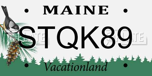 STQK89 Maine License Plate