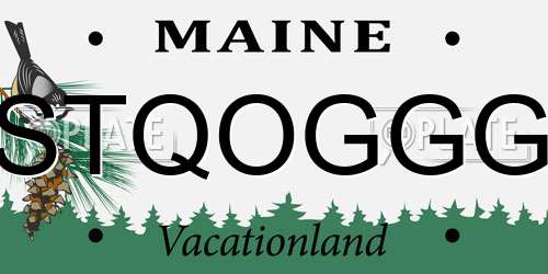 STQOGGG Maine License Plate