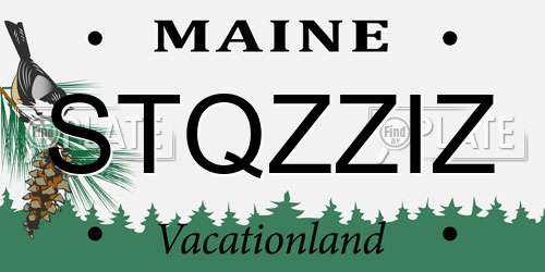STQZZIZ Maine License Plate