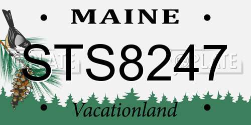 STS8247 Maine License Plate