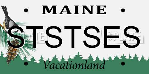 STSTSES Maine License Plate