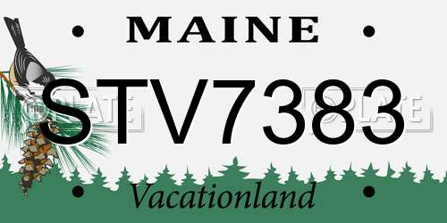 STV7383 Maine License Plate