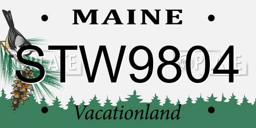STW9804 Maine License Plate