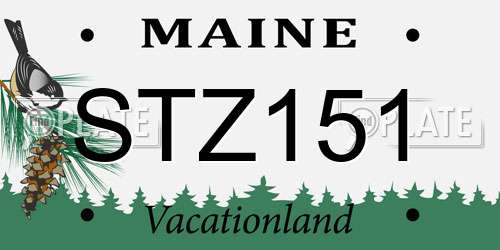 STZ151 Maine License Plate