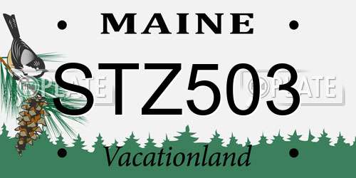 STZ503 Maine License Plate
