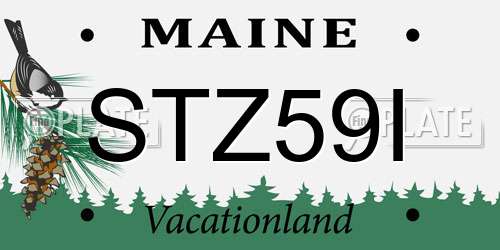 STZ59I Maine License Plate