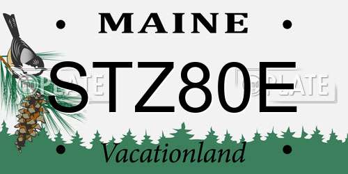 STZ80E Maine License Plate