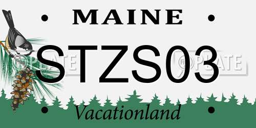 STZS03 Maine License Plate