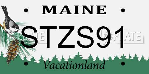 STZS91 Maine License Plate