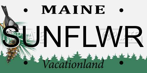 SUNFLWR Maine License Plate