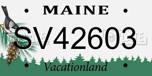 SV42603 Maine License Plate