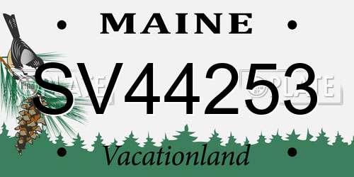 SV44253 Maine License Plate