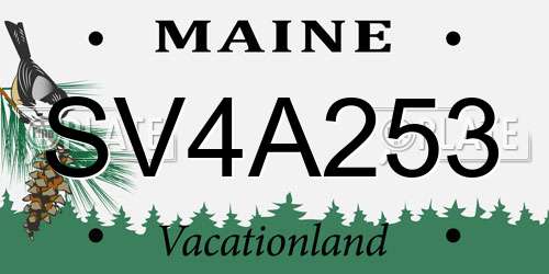 SV4A253 Maine License Plate