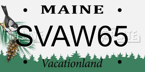 SVAW65 Maine License Plate