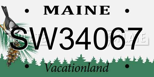 SW34067 Maine License Plate