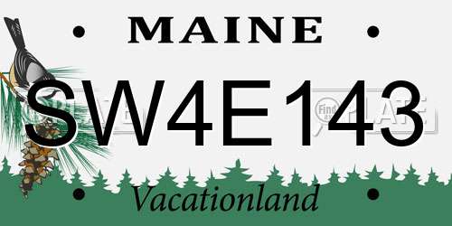 SW4E143 Maine License Plate