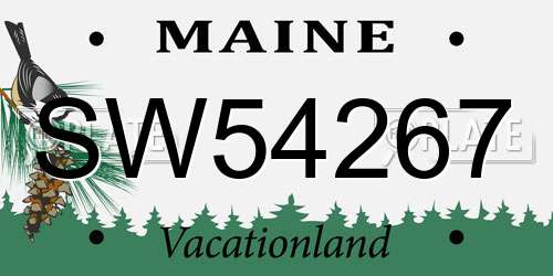 SW54267 Maine License Plate