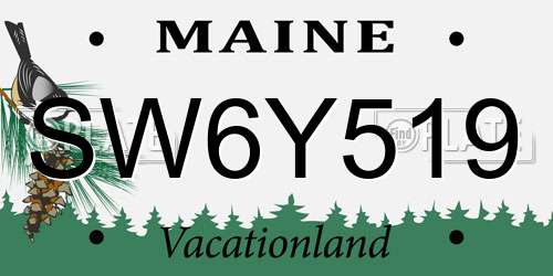 SW6Y519 Maine License Plate