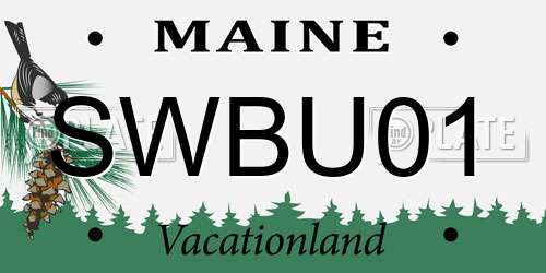 SWBU01 Maine License Plate