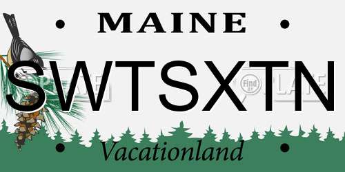 SWTSXTN Maine License Plate