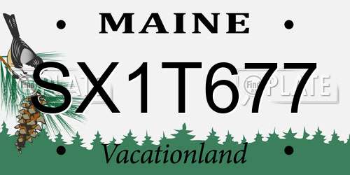SX1T677 Maine License Plate